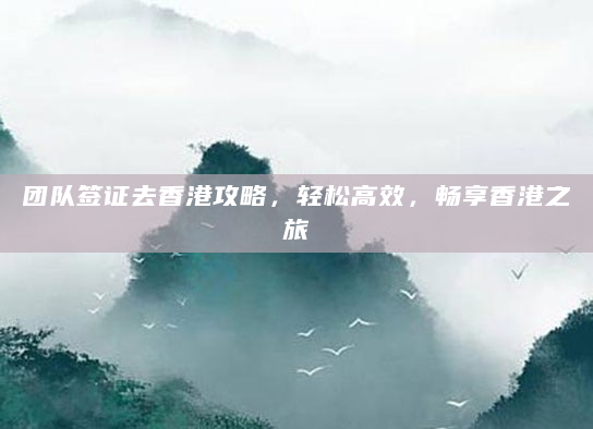 团队签证去香港攻略，轻松高效，畅享香港之旅