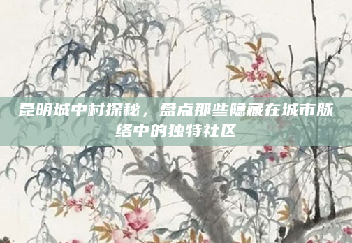 昆明城中村探秘，盘点那些隐藏在城市脉络中的独特社区