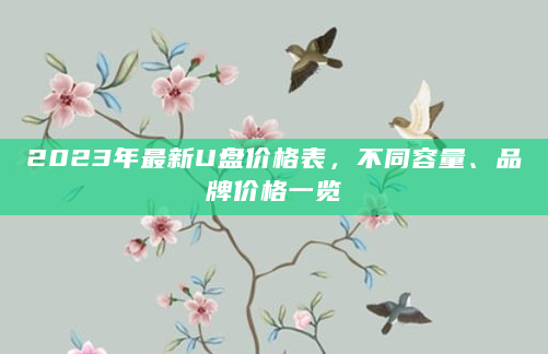 2023年最新U盘价格表，不同容量、品牌价格一览