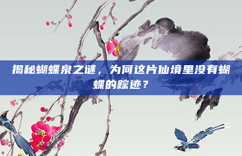 揭秘蝴蝶泉之谜，为何这片仙境里没有蝴蝶的踪迹？