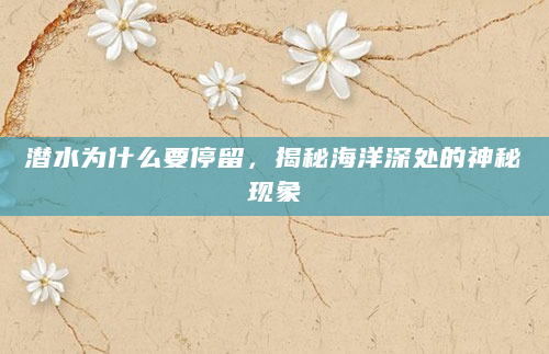 潜水为什么要停留，揭秘海洋深处的神秘现象