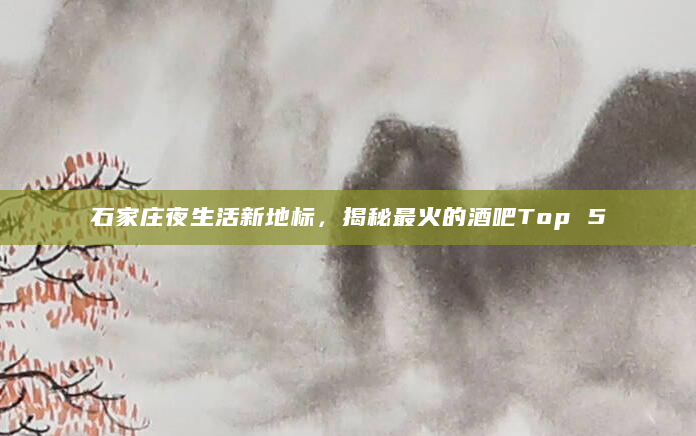 石家庄夜生活新地标，揭秘最火的酒吧Top 5