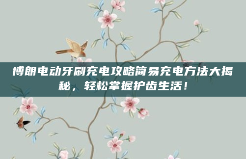 博朗电动牙刷充电攻略简易充电方法大揭秘，轻松掌握护齿生活！