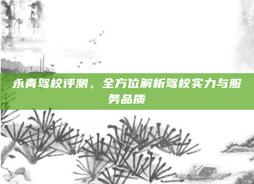 永青驾校评测，全方位解析驾校实力与服务品质
