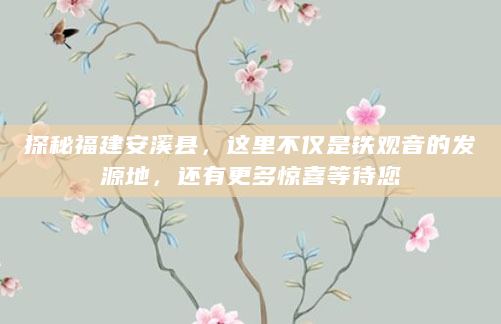 探秘福建安溪县，这里不仅是铁观音的发源地，还有更多惊喜等待您