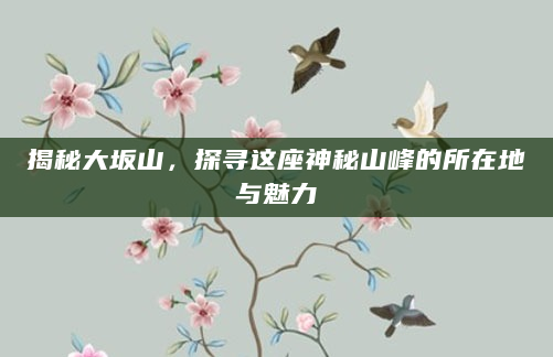 揭秘大坂山，探寻这座神秘山峰的所在地与魅力