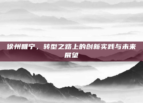徐州睢宁，转型之路上的创新实践与未来展望