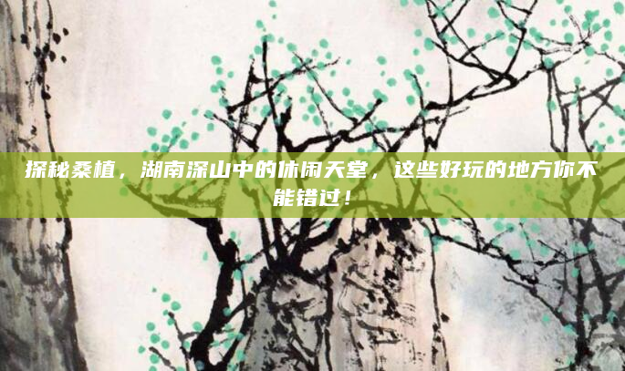探秘桑植，湖南深山中的休闲天堂，这些好玩的地方你不能错过！