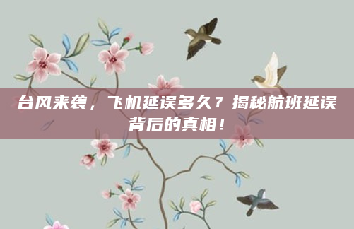 台风来袭，飞机延误多久？揭秘航班延误背后的真相！