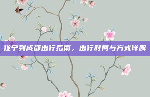 遂宁到成都出行指南，出行时间与方式详解