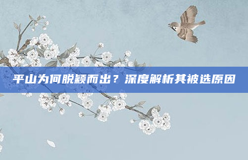 平山为何脱颖而出？深度解析其被选原因