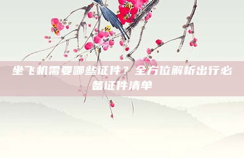 坐飞机需要哪些证件？全方位解析出行必备证件清单