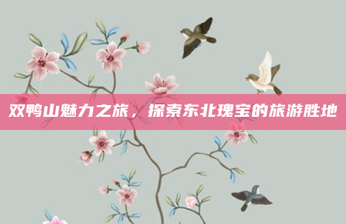 双鸭山魅力之旅，探索东北瑰宝的旅游胜地