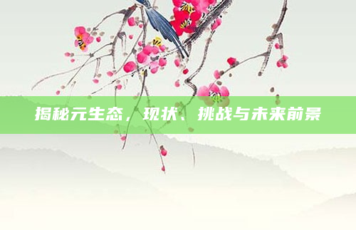 揭秘元生态，现状、挑战与未来前景
