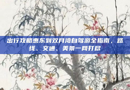 出行攻略惠东到双月湾自驾游全指南，路线、交通、美景一网打尽