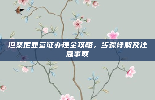 坦桑尼亚签证办理全攻略，步骤详解及注意事项