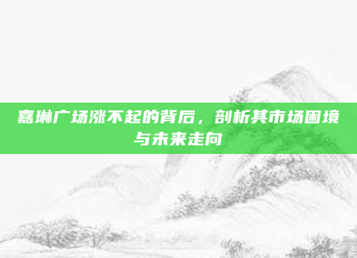 嘉琳广场涨不起的背后，剖析其市场困境与未来走向
