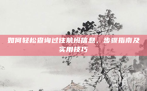 如何轻松查询过往航班信息，步骤指南及实用技巧