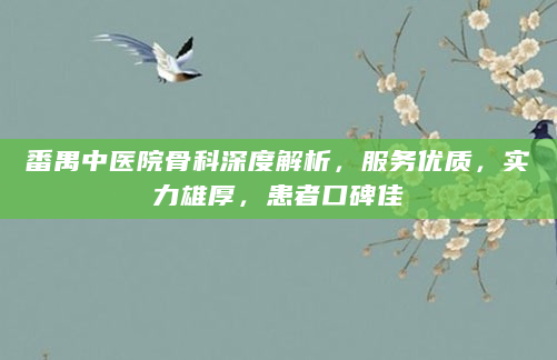 番禺中医院骨科深度解析，服务优质，实力雄厚，患者口碑佳
