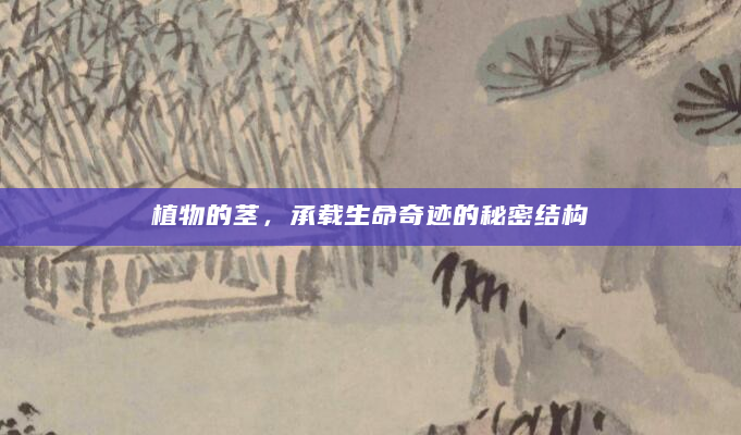 植物的茎，承载生命奇迹的秘密结构