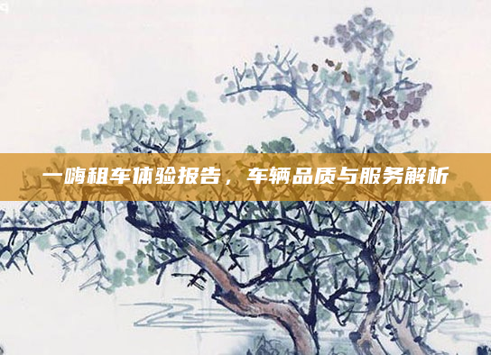 一嗨租车体验报告，车辆品质与服务解析