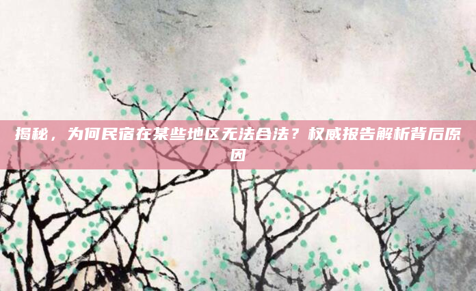 揭秘，为何民宿在某些地区无法合法？权威报告解析背后原因