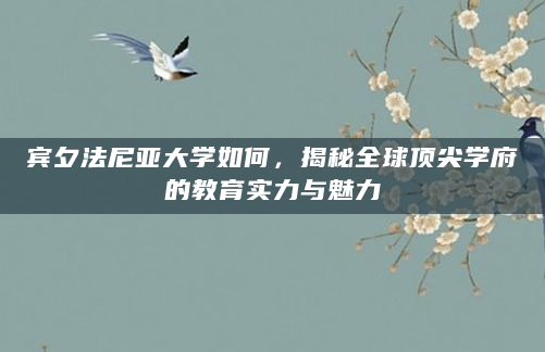 宾夕法尼亚大学如何，揭秘全球顶尖学府的教育实力与魅力