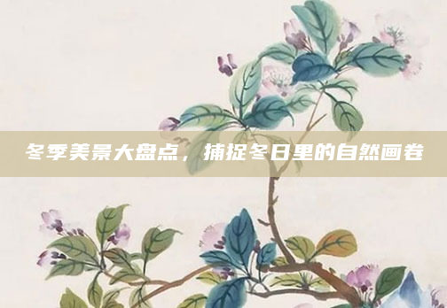 冬季美景大盘点，捕捉冬日里的自然画卷