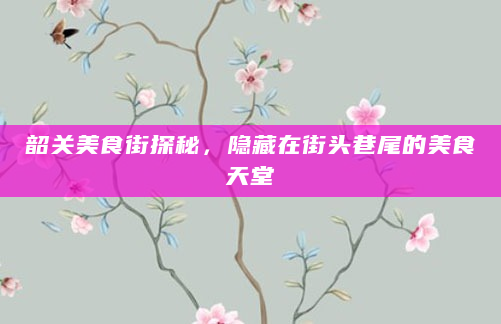 韶关美食街探秘，隐藏在街头巷尾的美食天堂