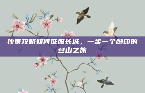 独家攻略如何征服长城，一步一个脚印的登山之旅