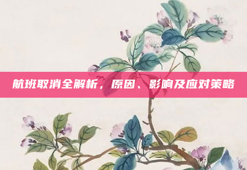 航班取消全解析，原因、影响及应对策略