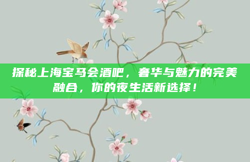 探秘上海宝马会酒吧，奢华与魅力的完美融合，你的夜生活新选择！