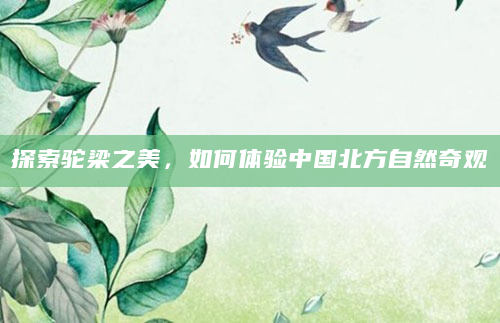 探索驼梁之美，如何体验中国北方自然奇观