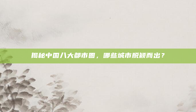 揭秘中国八大都市圈，哪些城市脱颖而出？