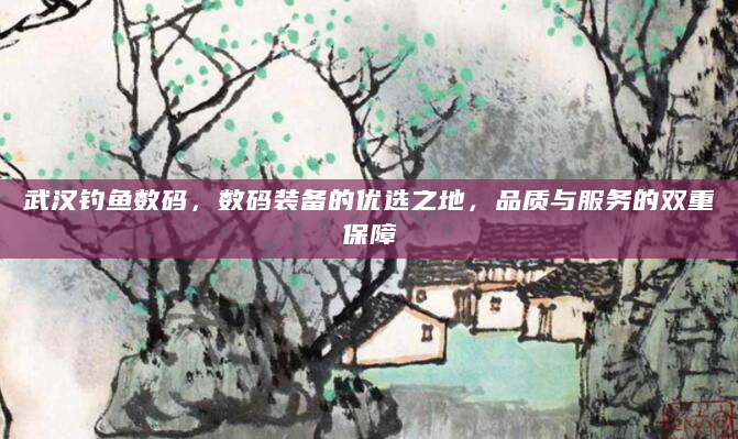 武汉钓鱼数码，数码装备的优选之地，品质与服务的双重保障