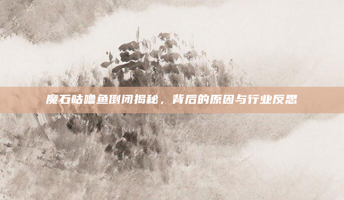 魔石咕噜鱼倒闭揭秘，背后的原因与行业反思