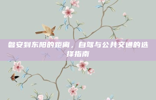 磐安到东阳的距离，自驾与公共交通的选择指南