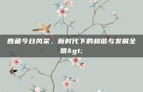 西藏今日风采，新时代下的和谐与发展全貌>
