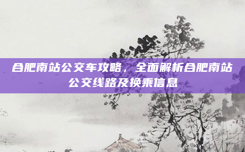 合肥南站公交车攻略，全面解析合肥南站公交线路及换乘信息