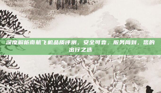 深度解析南航飞机品质评测，安全可靠，服务周到，您的出行之选