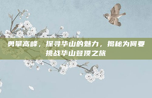 勇攀高峰，探寻华山的魅力，揭秘为何要挑战华山登顶之旅