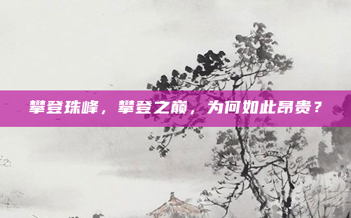攀登珠峰，攀登之巅，为何如此昂贵？