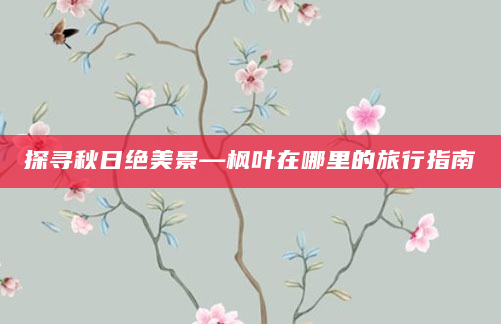 探寻秋日绝美景—枫叶在哪里的旅行指南