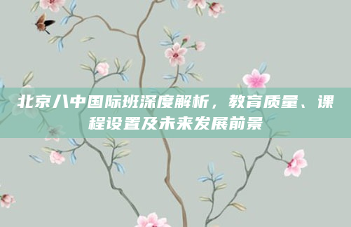 北京八中国际班深度解析，教育质量、课程设置及未来发展前景