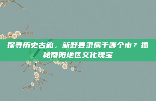 探寻历史古韵，新野县隶属于哪个市？揭秘南阳地区文化瑰宝
