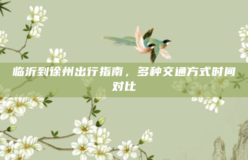 临沂到徐州出行指南，多种交通方式时间对比