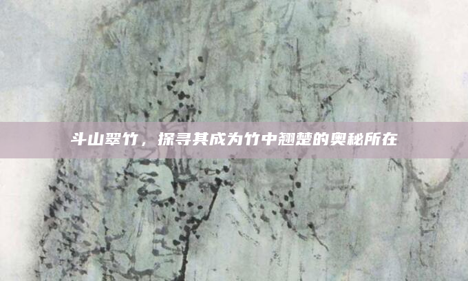 斗山翠竹，探寻其成为竹中翘楚的奥秘所在