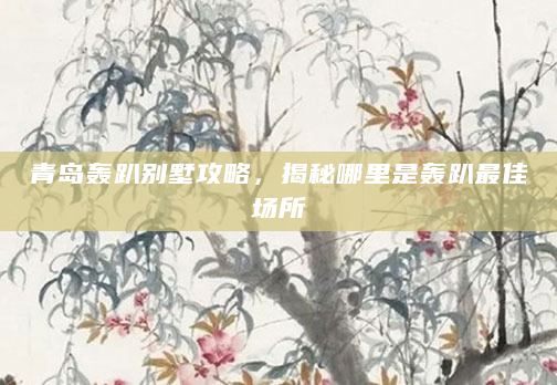 青岛轰趴别墅攻略，揭秘哪里是轰趴最佳场所