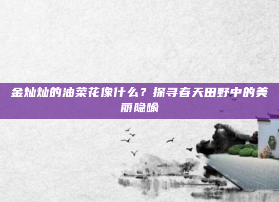 金灿灿的油菜花像什么？探寻春天田野中的美丽隐喻