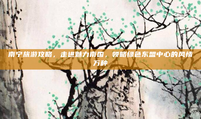 南宁旅游攻略，走进魅力南国，领略绿色东盟中心的风情万种